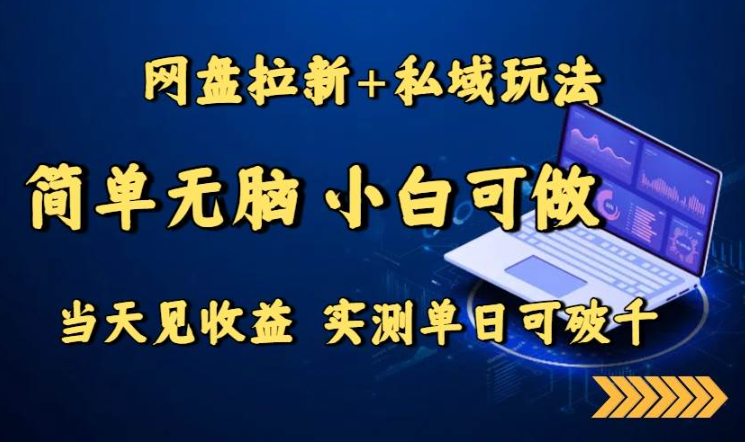 (1260402期)网盘拉新+私域玩法,简单无脑,小白可做,当天见收益,实测单日可破千-上古云网创