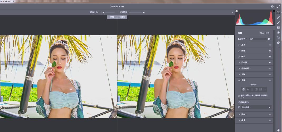 RAW处理Adobe Camera Raw v18.3.2中文版-上古云网创