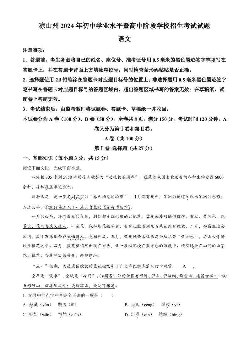 2024年四川省凉山州中考语文真题（含答案）