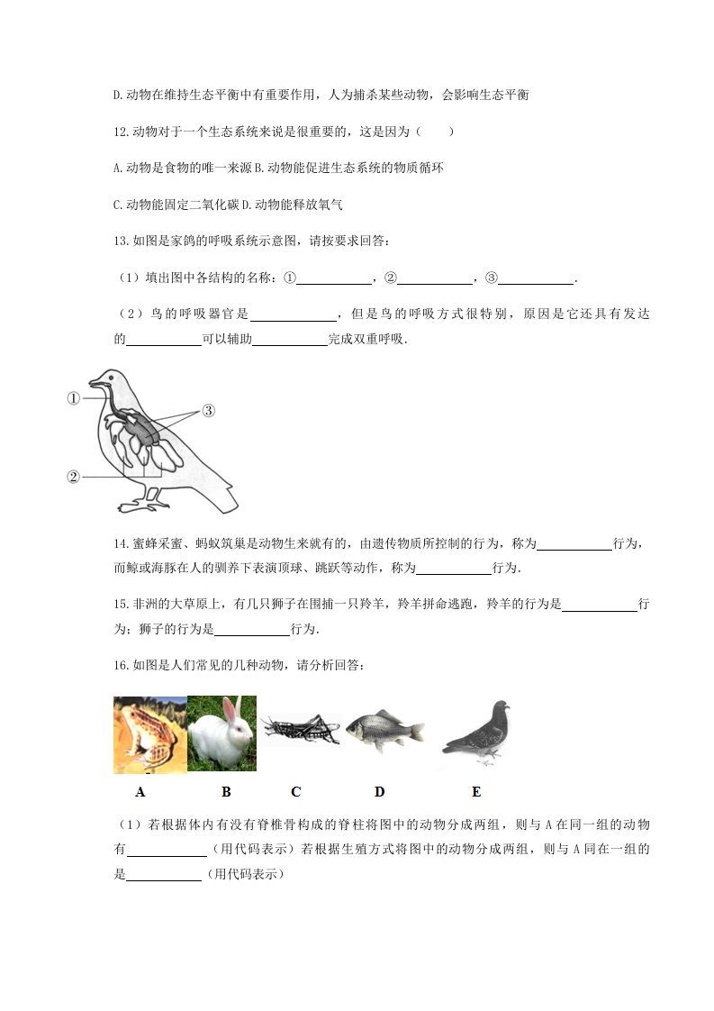 2020-2021学年湖北省黄冈市红安县八年级上学期期中生物试题及答案(Word版)